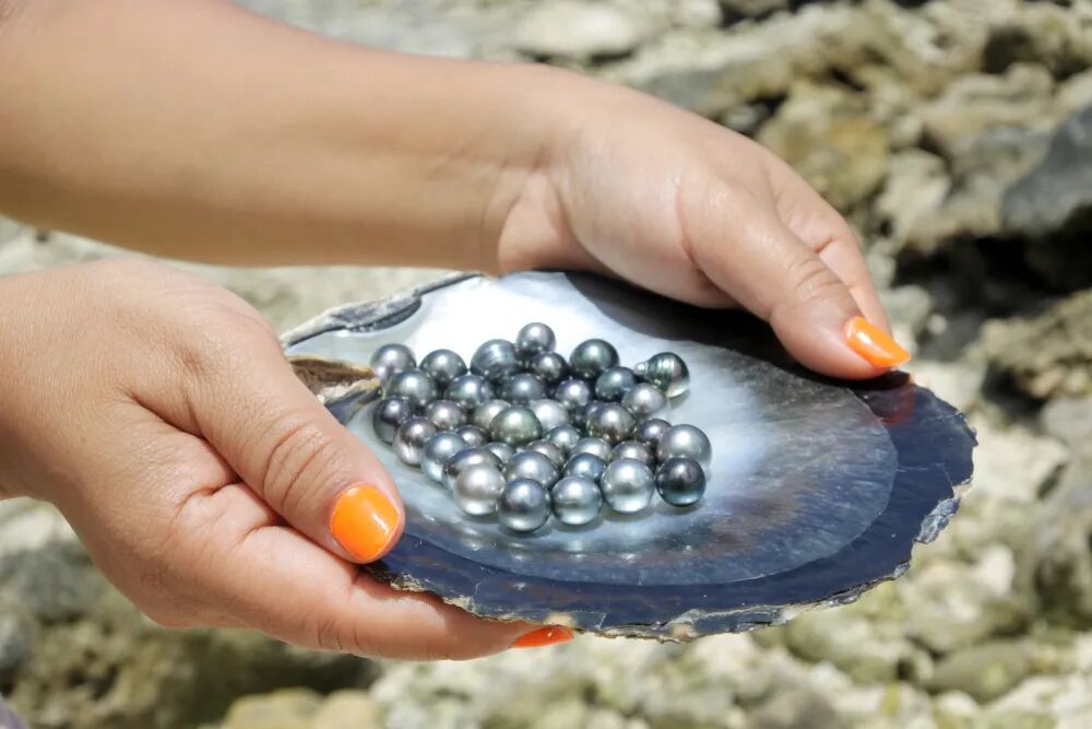 640-20260423-110111-69ea5e67d505a