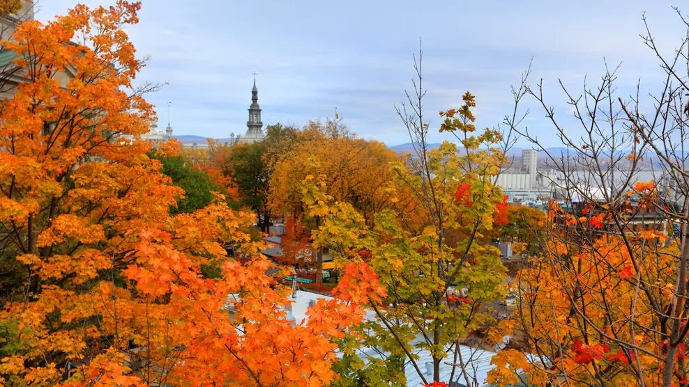 640-20260427-115147-69efb043eeea9