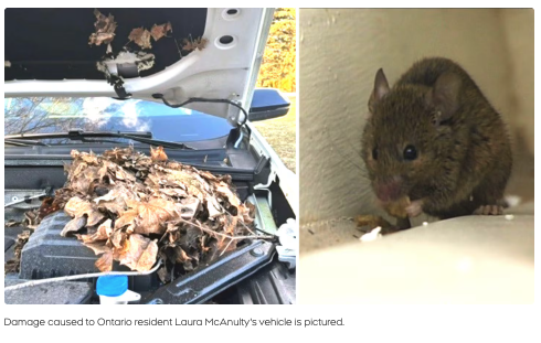 640-20260429-135222-69f26f8623f06