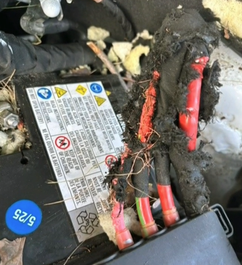 640-20260429-135222-69f26f8628650