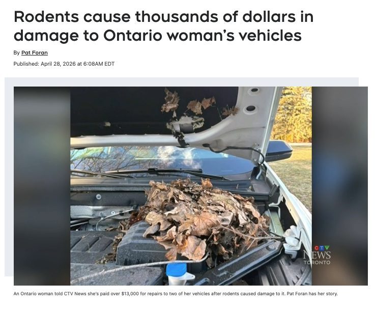 640-20260429-135222-69f26f8630c77