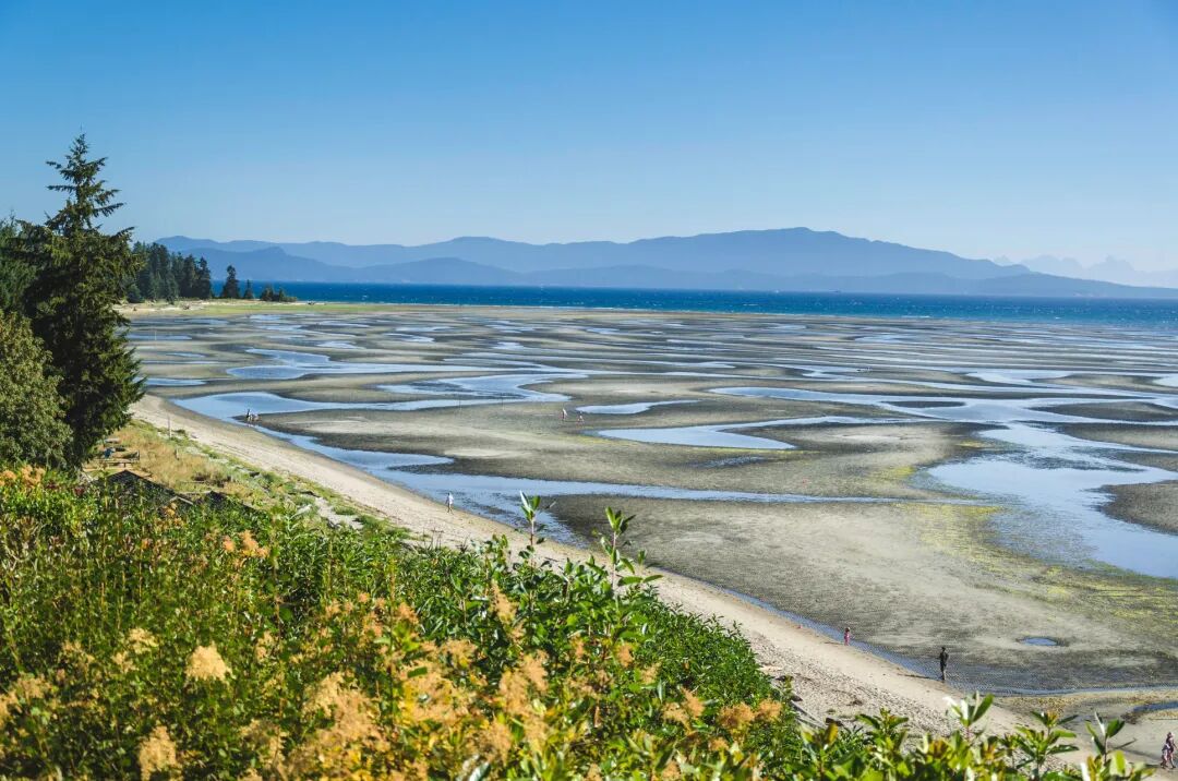 640-20260429-214201-69f2dd999a91a