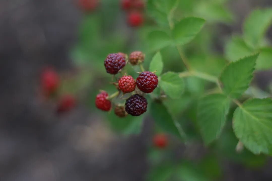 640-20260429-214906-69f2df4260b1d