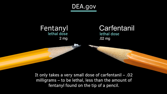 carfentanil-pencil_crop-20260418-084700-69e3a7745b05c