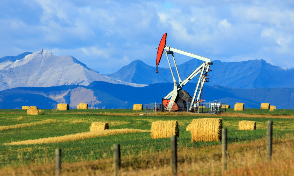 kris_638865977391964953-20260408-084845-69d678dd70775