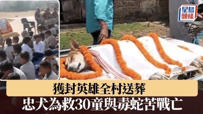 photo.php-20260428-085406-69f0d81e17bc8