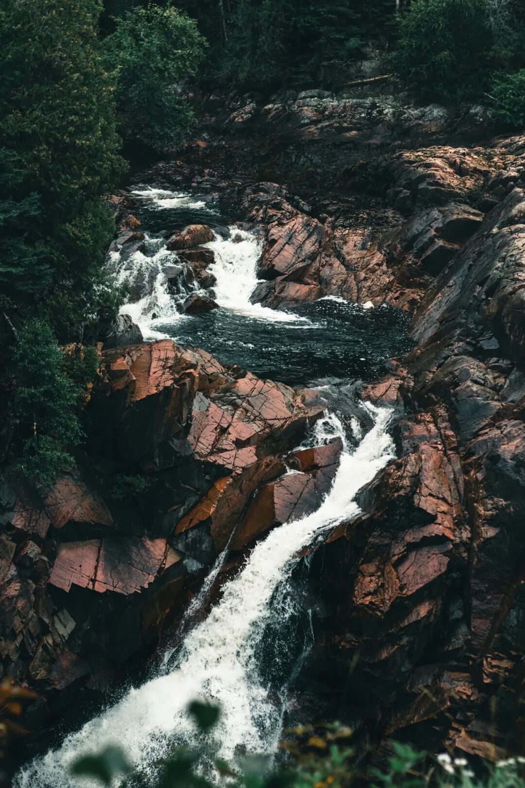 Feature Image