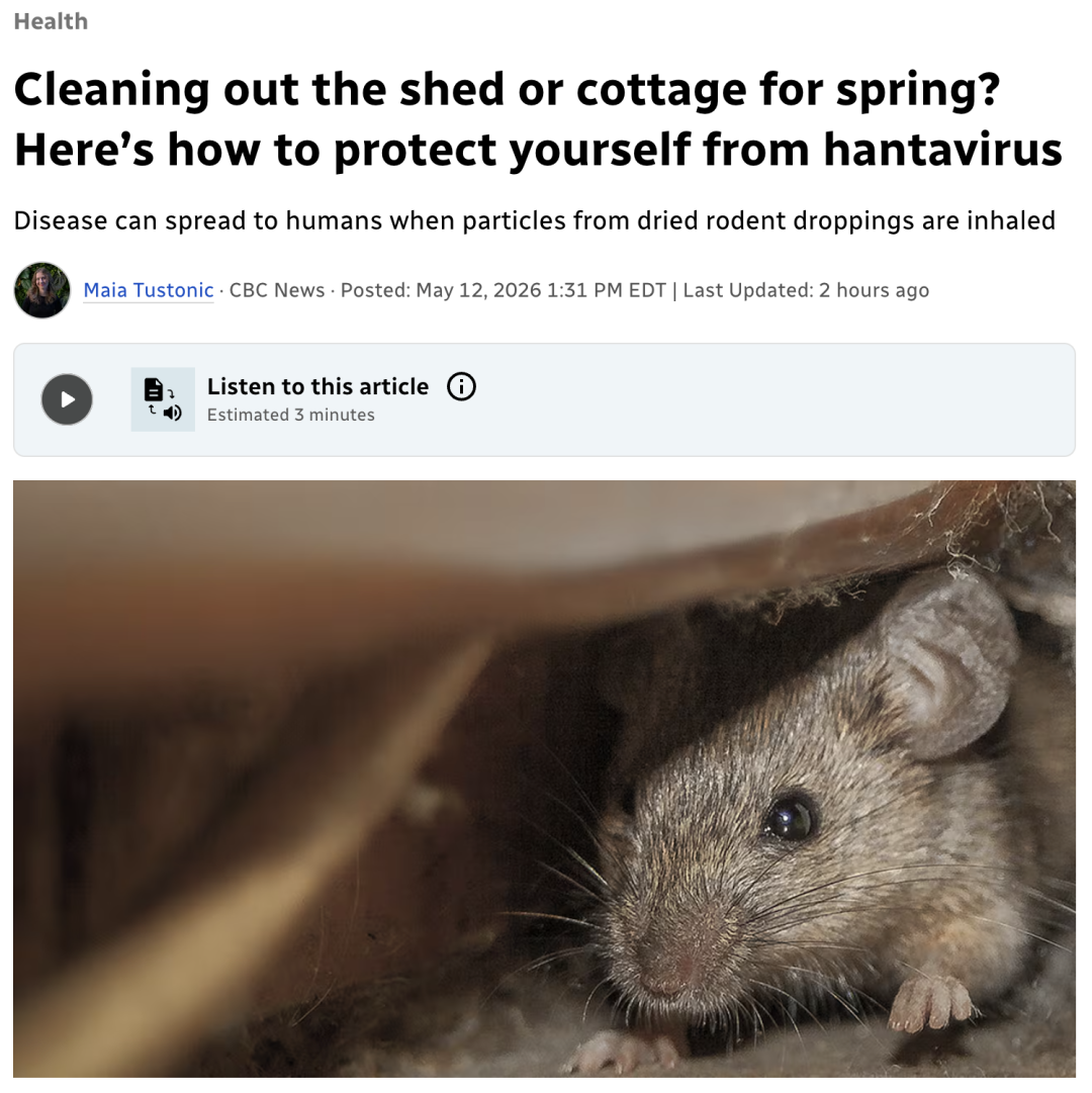Feature Image