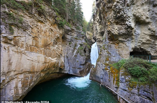Feature Image