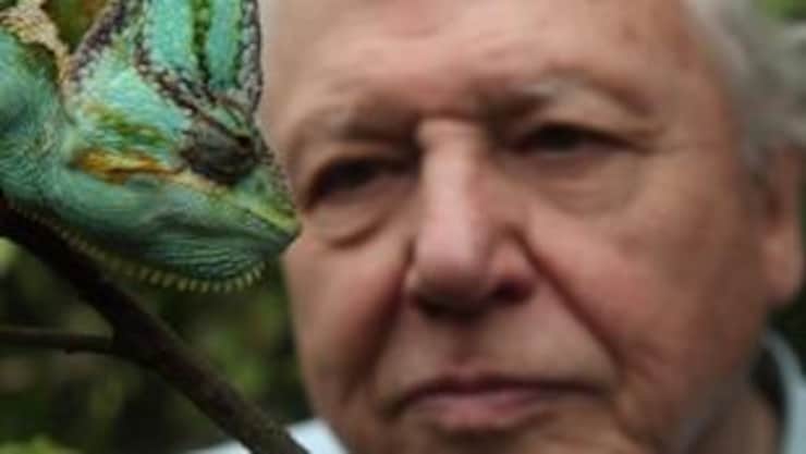 explora-curiosites-animales-david-attenborough-20260510-111142-6a00ca5eba8cd
