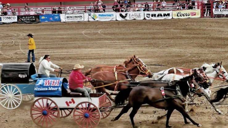 wei-mah-western-wear-red-deer-alberta-chinois-immigrant-38713-20260503-100822-69f7810610fc2
