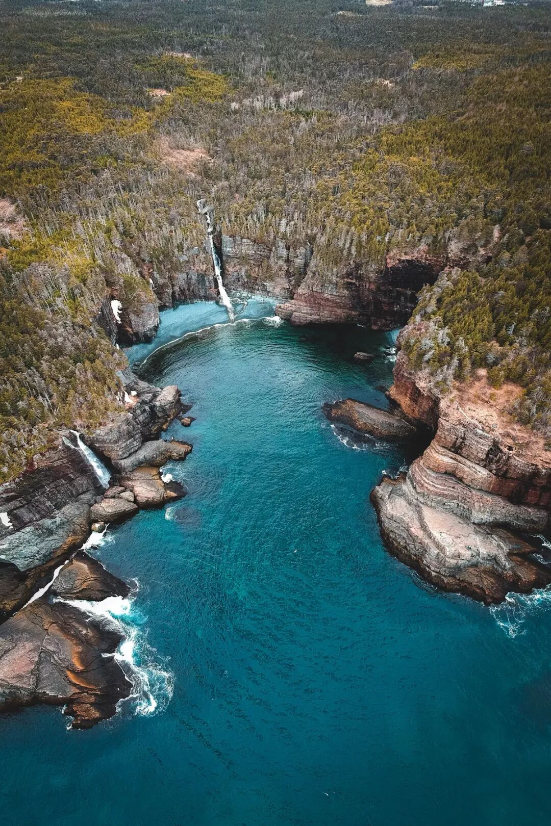 Feature Image