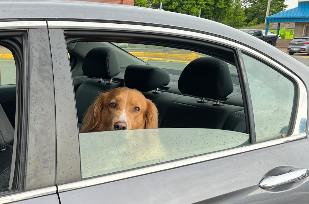 640-20260619-140732-6a35af9470453