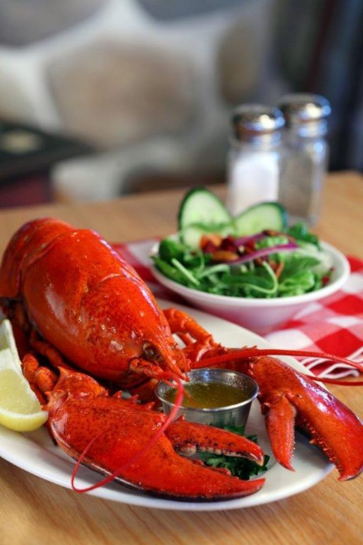 lobster-02-20260702-110529-6a46a8696b817