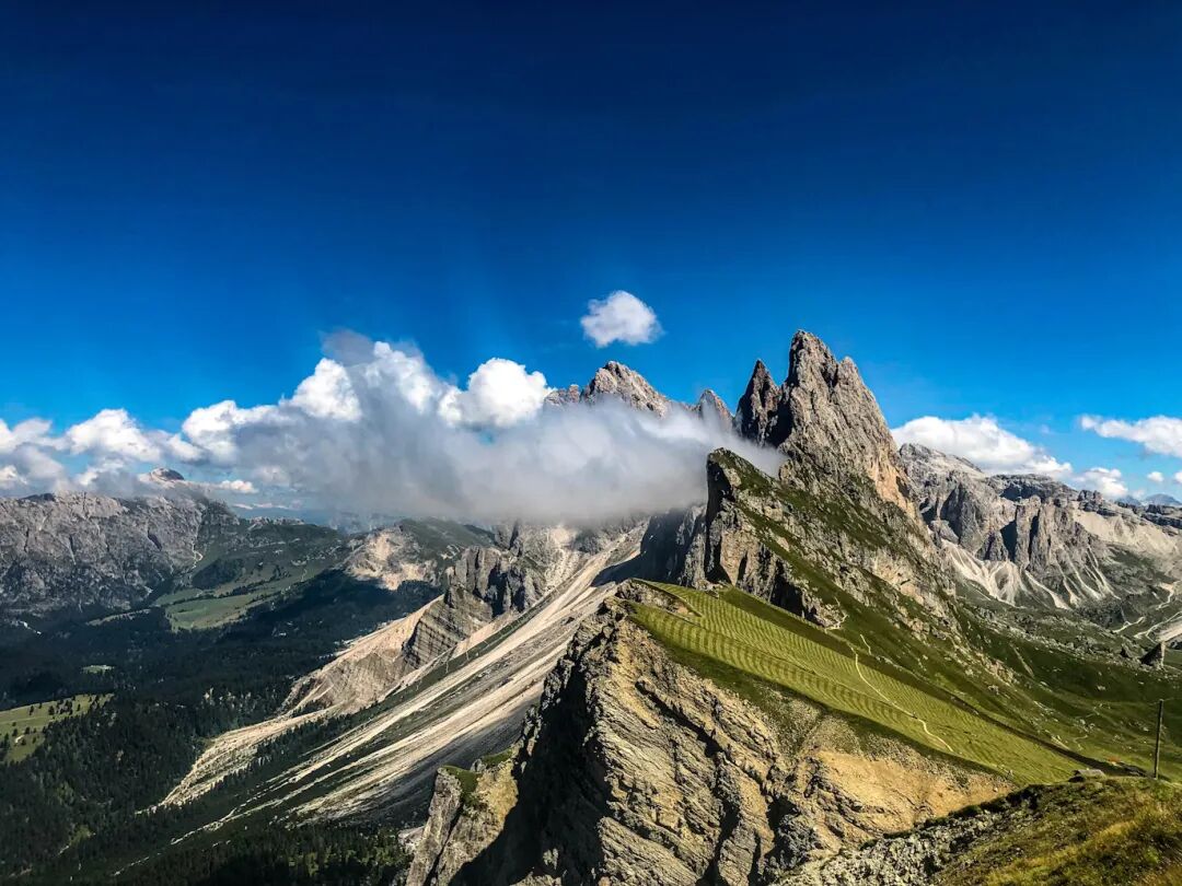 Feature Image