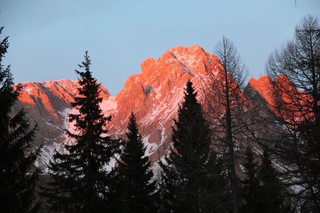 640-20260814-100824-6a7f4b8868959