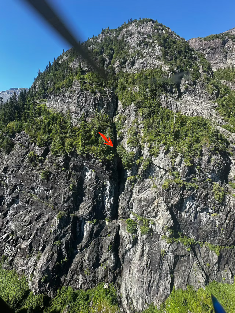 Feature Image
