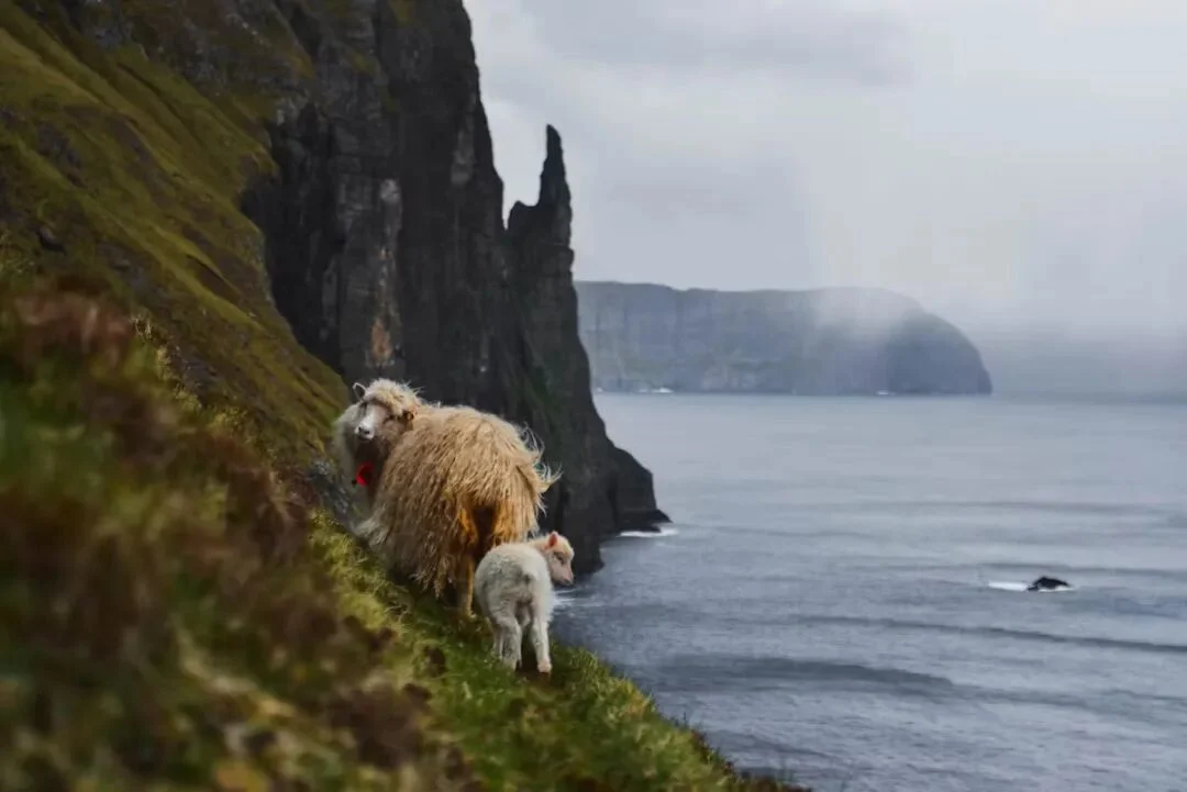 640-20261002-014258-6abf0c22506fa 640-20261002-014258-6abf0c22506fa